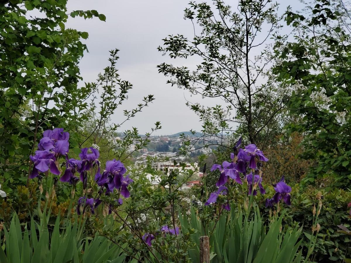 Beehives Διαμέρισμα Κουτάισι Εξωτερικό φωτογραφία