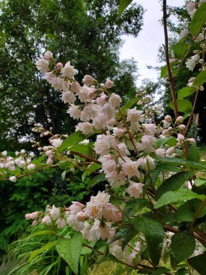 Beehives Διαμέρισμα Κουτάισι Εξωτερικό φωτογραφία