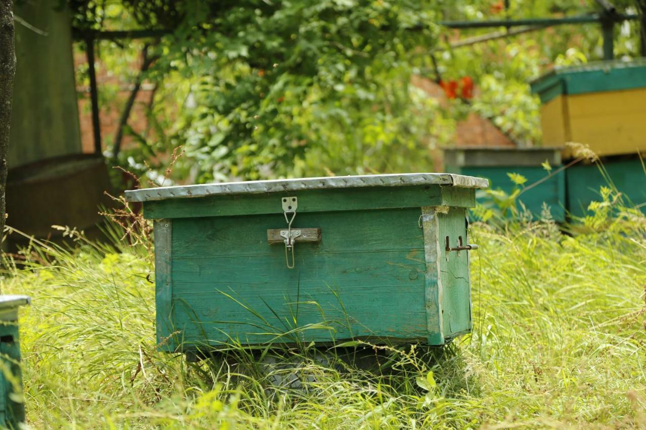 Beehives Διαμέρισμα Κουτάισι Εξωτερικό φωτογραφία